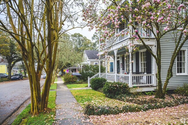 Japanese Magnolia blooms in front of this Washington Square home.