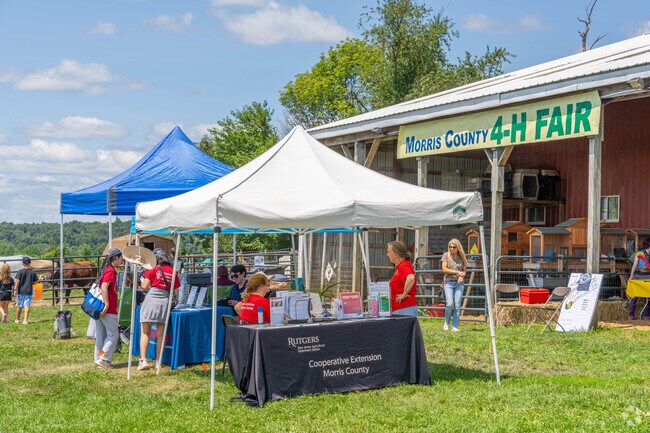 The Morris County 4-H Fair has hands on activities, animals and more.