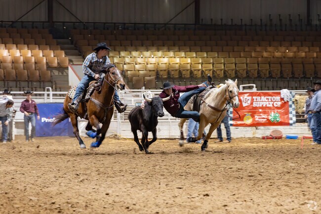 Bay City's Matagorda County Fairgrounds is always a beehive of activity every spring with rodeo action.
