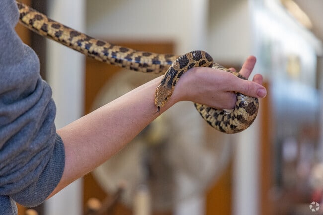 Thurston Woods residents can see wildlife up close at Havenwoods Nature Center.