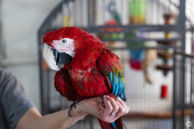 Austell features highly-rated stores, like Animart with hand-raised birds.