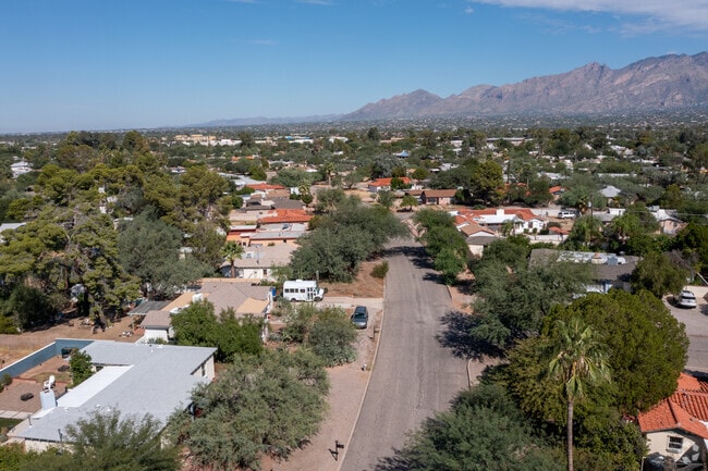 Midtown Tucson homes are shaded by native, desert-hardy plants.