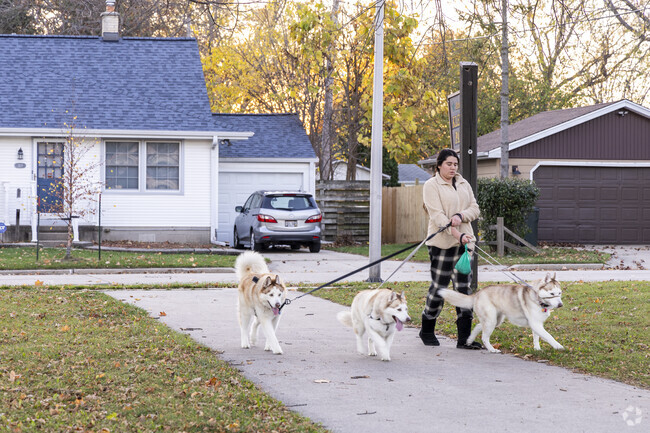 Take the dogs on a walk around Arnold Klentz Park in Honey Acres.