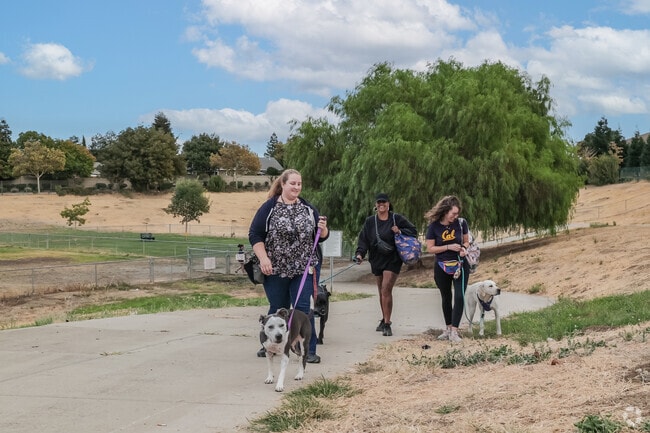 People enjoy walking their dogs in the Contra Loma neighborhood.