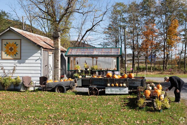 The Heirloom Farmer is a family owned stand where you can grab great produce and more in Worth.