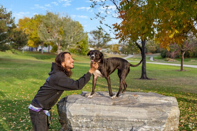 The Northwest Greenbelt is a favorite place to bring dogs with ample room to play.