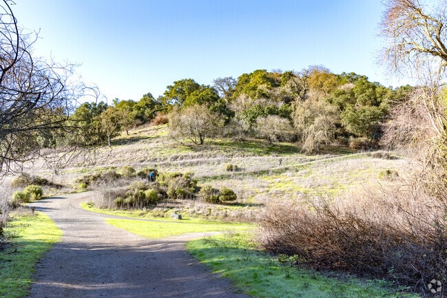 Rancho San Antonio County Park in Los Altos Hills offers 25 miles of scenic hiking trails.