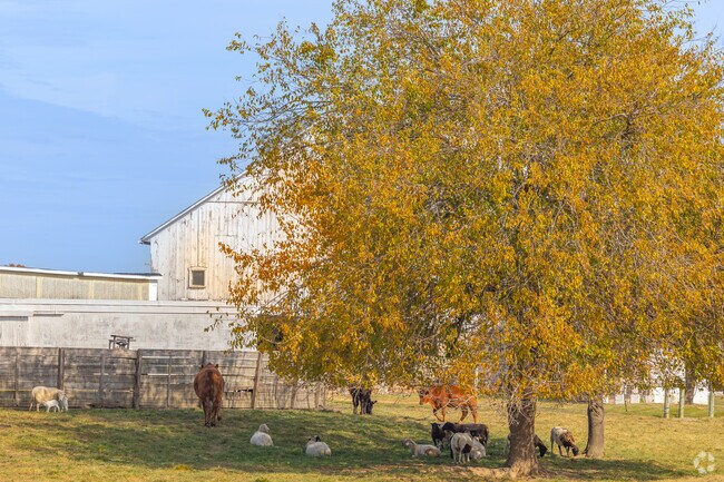 Barn animals make friendly neighbors in East Hanover.