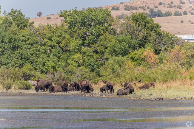 Almor West lies near Wichita Mountain National Wildlife Refuge, popular for bison viewing.