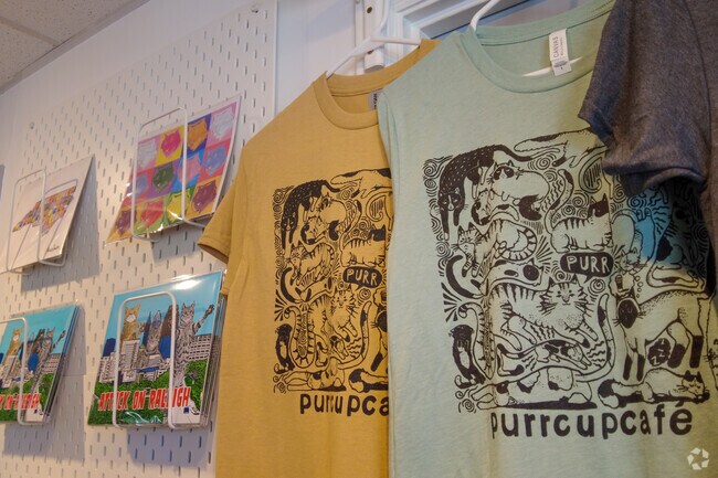 Pet a cat, drink some coffee, adopt a cat- Purr Cup Cafe in Caraleigh offers it all.