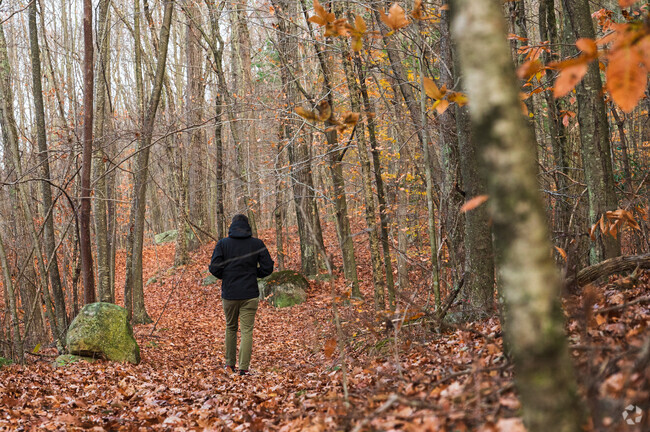 Locals walk peacefully at Linda J Rapoport without any other sound but nature.