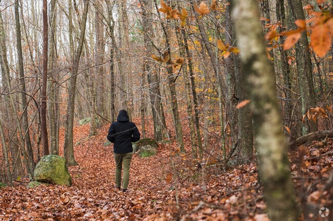 Locals walk peacefully at Linda J Rapoport without any other sound but nature.