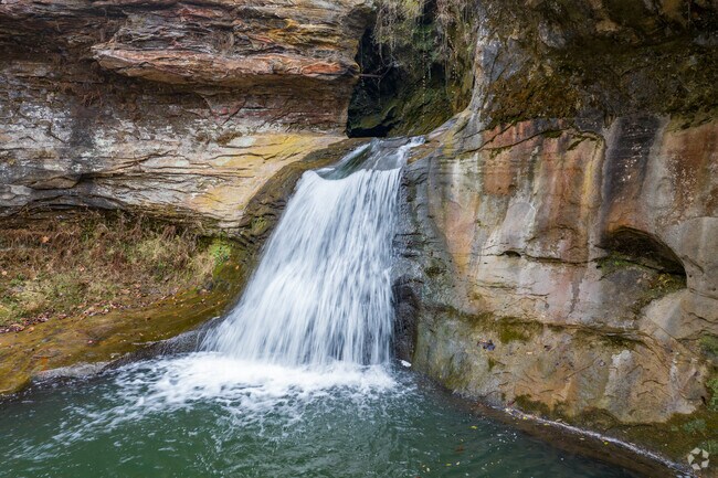 Rock Mill Park and Lake Wilderness Area is 65 acres of history and nature.