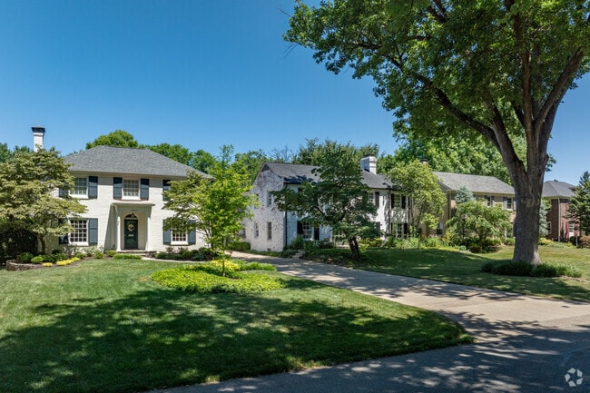 There are large mature shade trees in most of the St. Matthews neighborhood.