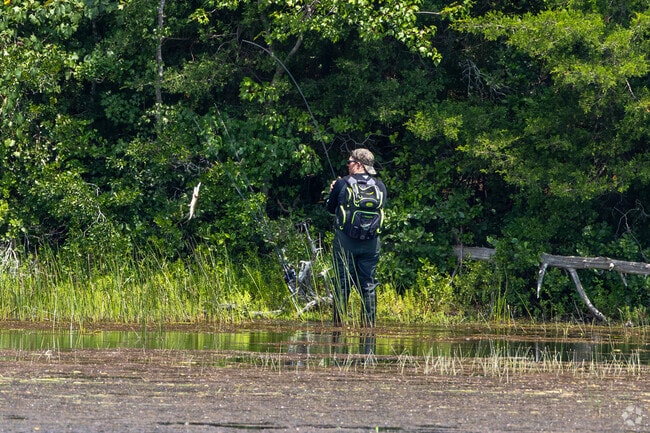 You can catch all types of fish at the lake in Wharton State Forrest.