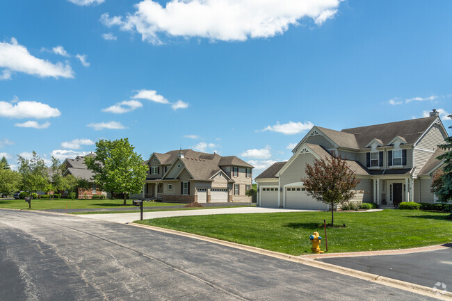 There are a few newer subdivisions in Mettawa with larger modern homes.