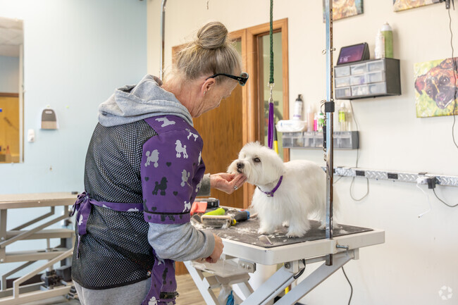 Linden Park residents trust Paw Paradise Spa for their pet grooming needs.