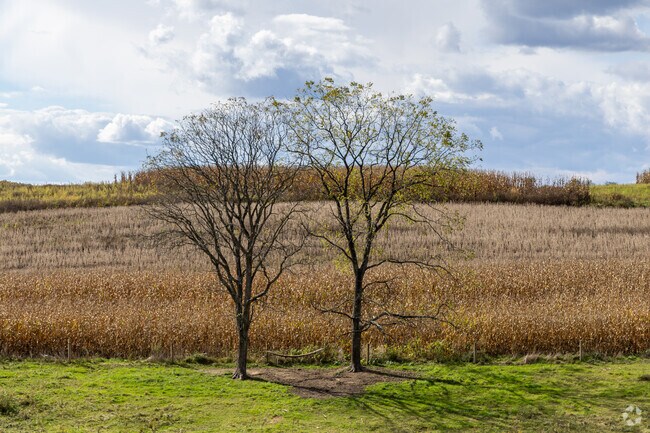 Franklin has many quiet farms on the hills around the neighborhood.
