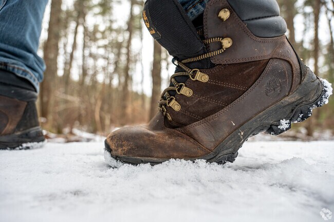 Put on your hiking boots and hit the trails at Two Brooks Preserve in Plympton.
