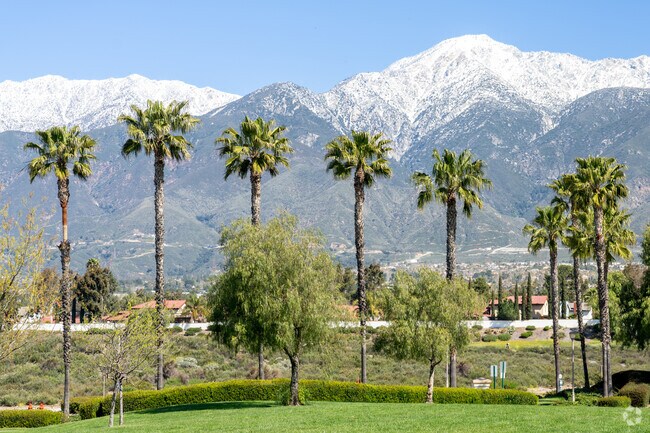 Snow capped mountains with palm trees for days, Victoria has a lot to offer.