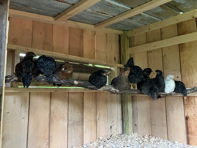 215 Tuscan Rd, Worcester, NY 12197 - photo 2