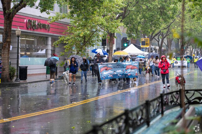 The Pets in Need Organization was at the May Fete Parade.