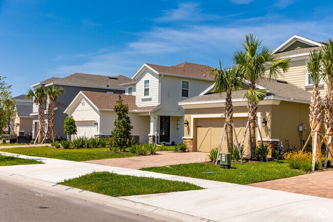 Homes in Starkey Ranch feature lush landscaping with magnolia and palm trees.