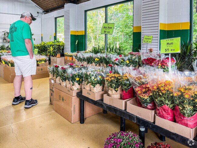 Produce Junction in Hatfield is a great place for fresh flowers.