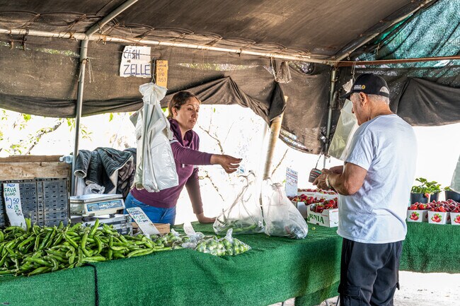 At the heart of the Casa Blanca neighborhood is Corona Farms, which offers fresh produce.