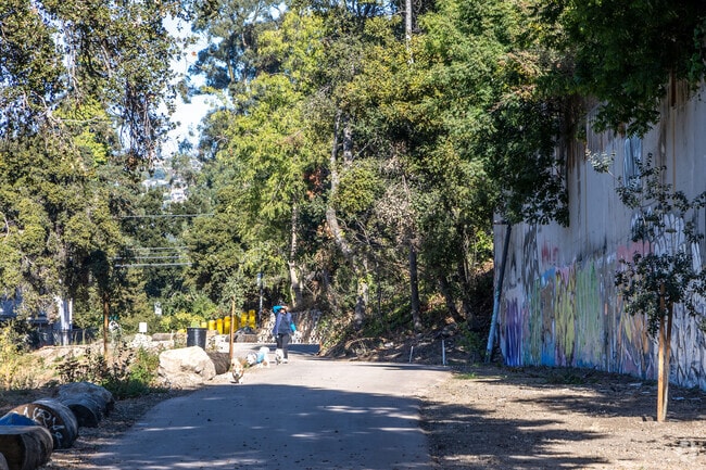 Go for a morning walk with your furry friends at Courtland Creek Park.