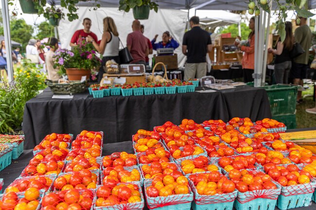 Fresh tomatoes and more at the Wakefield Farmers Market at Veterans Field in Wakefield, MA.