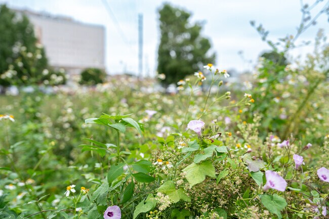 Enjoy nature at Mill Street Park near Neely.