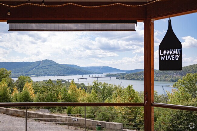 Enjoy Italian pizza and wine at Lookout Winery in Haletown.