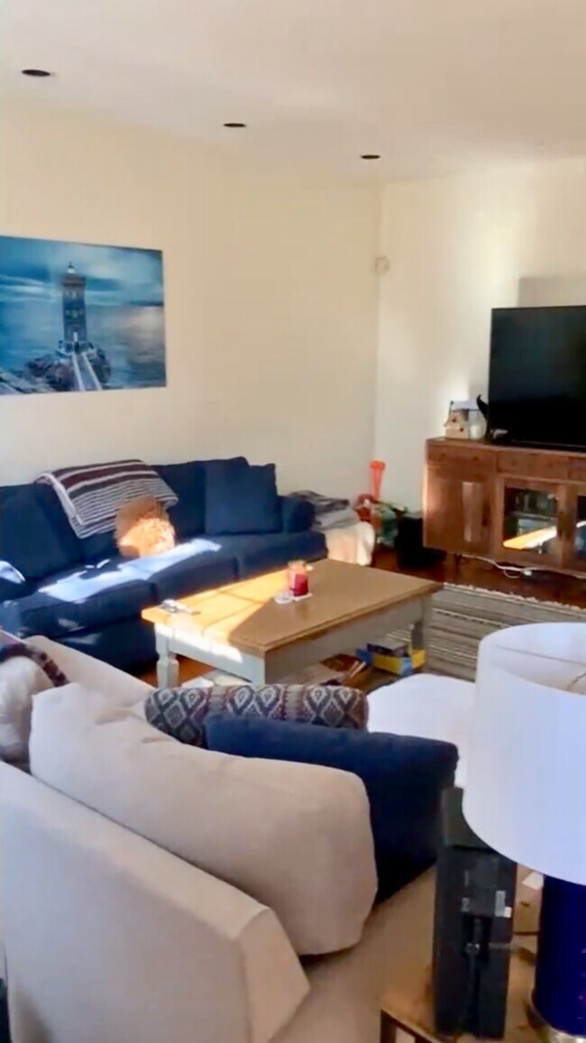 20 Dean Rd unit 3, Brookline, MA 02445 - photo 7