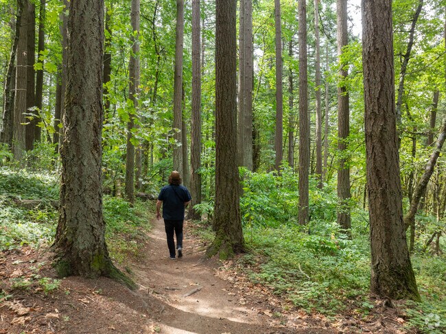 Cook’s Butte City Park offers 42 acres of wooded hiking trails.