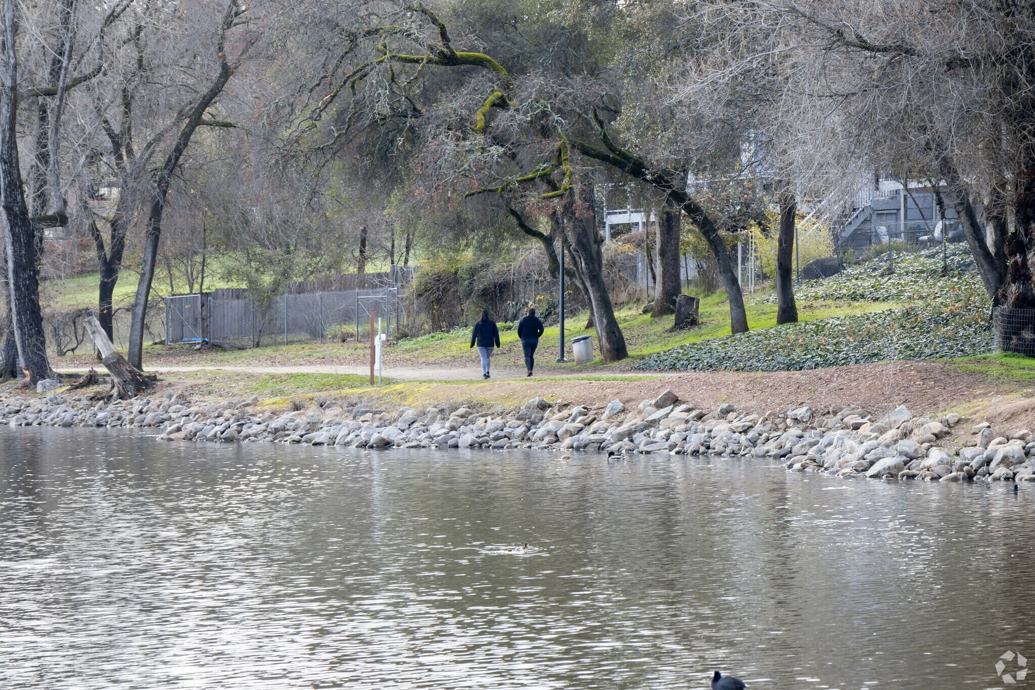 The trail around Cameron Park Lake is 1.2 easy graded miles.