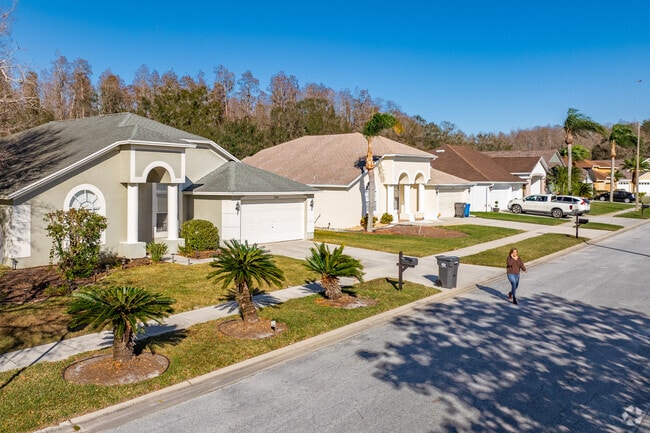 Cross Creek streets have shade trees and manicured yards.
