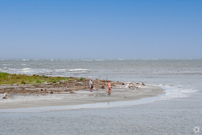 You can explore the beaches and ocean near Harbor Island.