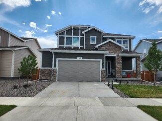 313 Baler Ct, Brighton, CO 80601