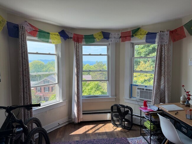 250 S Union St unit 4, Burlington, VT 05401 - photo 6