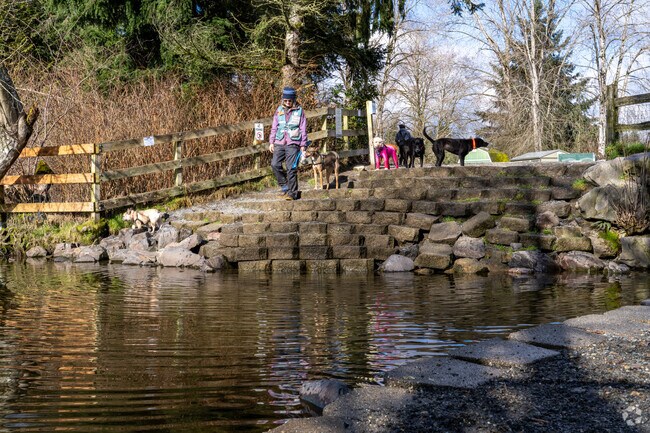 Marymoor park is a must visit for Overlake dog owners with their great off leash area.