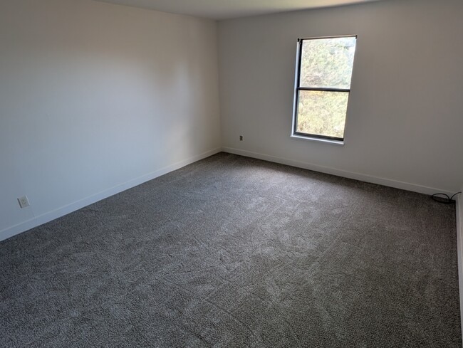 427 Wright St, Lakewood, CO 80228 - photo 5