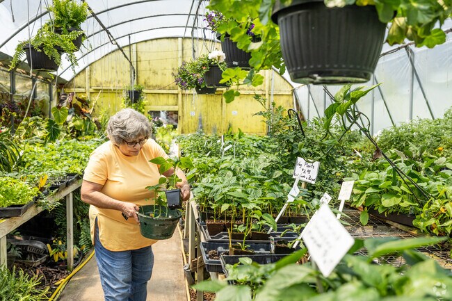Thomas Gardens in nearby Oak Hill is a short drive from Temperanceville and features unique plants, and a vast selection of flowers and lush green landscaping.
