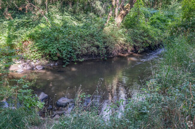 A relaxing view of Burnt Bridge Creek from Arnold Park in West Minnehaha.