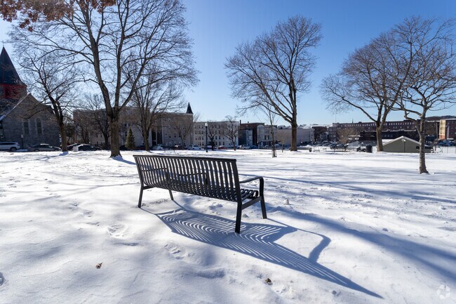 The Lewiston winter drapes the city in a blanket of hushed tranquility.