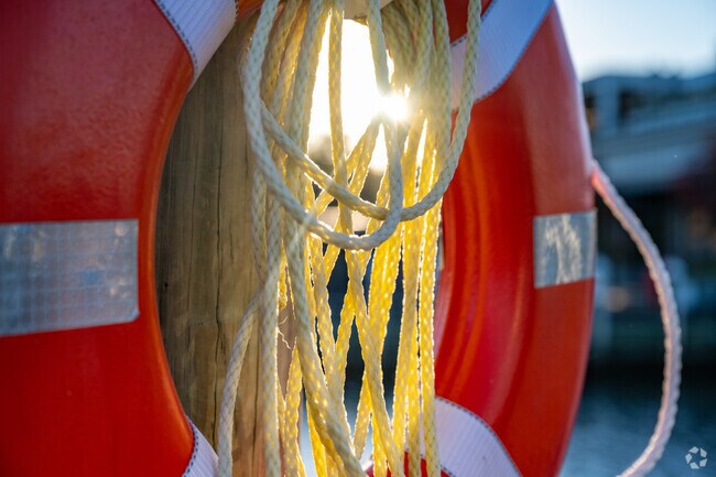 The people who live in Annapolis care about the wildlife around them.