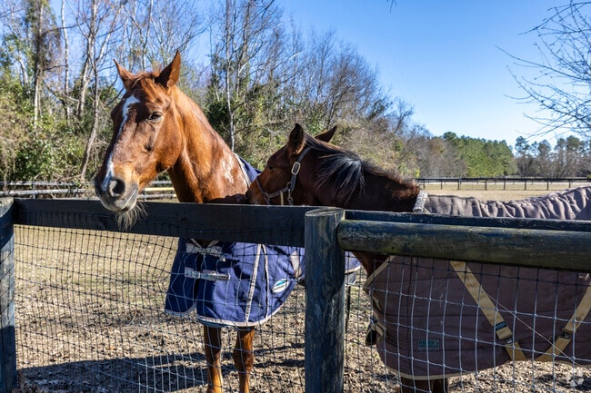 The City of Aiken is steeped in horse history and culture.
