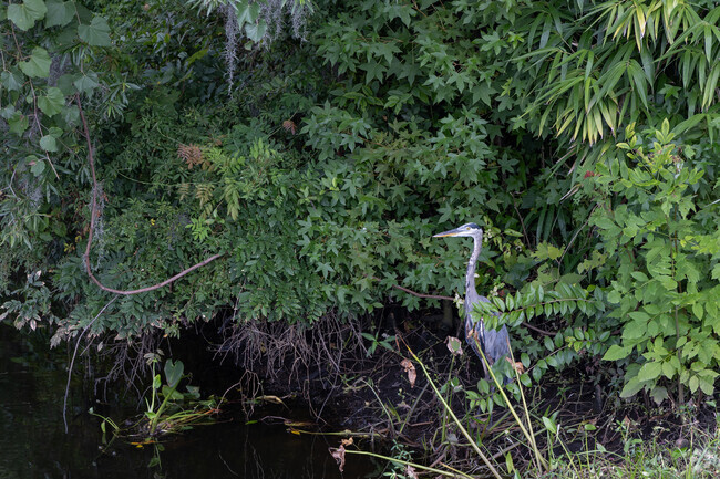 Greenfield Park is about 10 minutes south of Upper Downtown and has wildlife all around.
