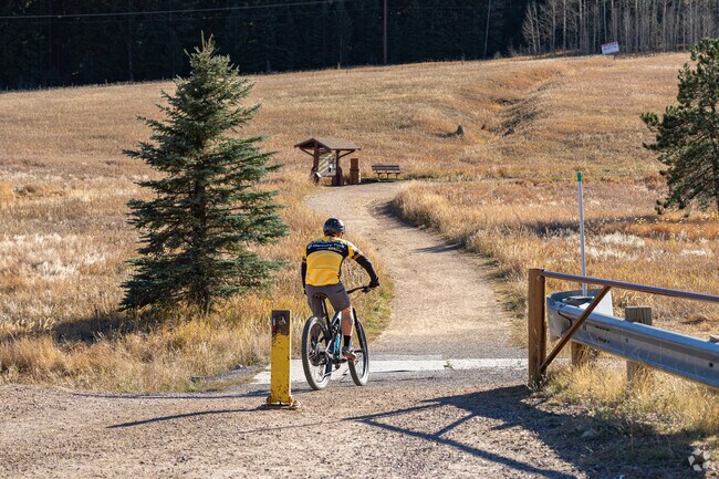 Explore numerous mountain biking trails near Pine Junction Area.