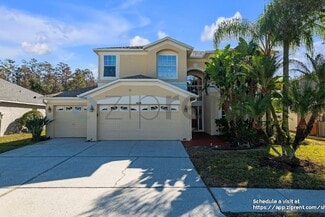 18233 Cypress Haven Dr, Tampa, FL 33647